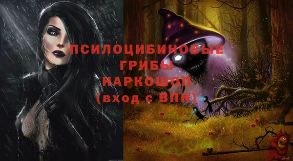 ECSTASY Армянск