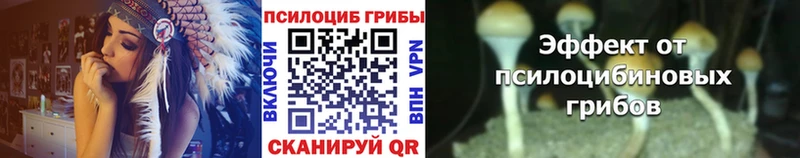 Псилоцибиновые грибы GOLDEN TEACHER  купить наркоту  гидра рабочий сайт  Кимры 